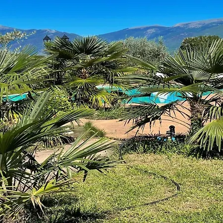 Stunning Grounds Surround Each Apt Panoramic Views All Around You شقة Colle Umberto (Umbria)
