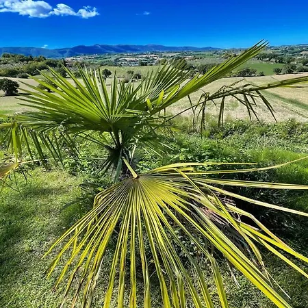 Stunning Grounds Surround Each Apt Panoramic Views All Around You شقة Colle Umberto (Umbria)